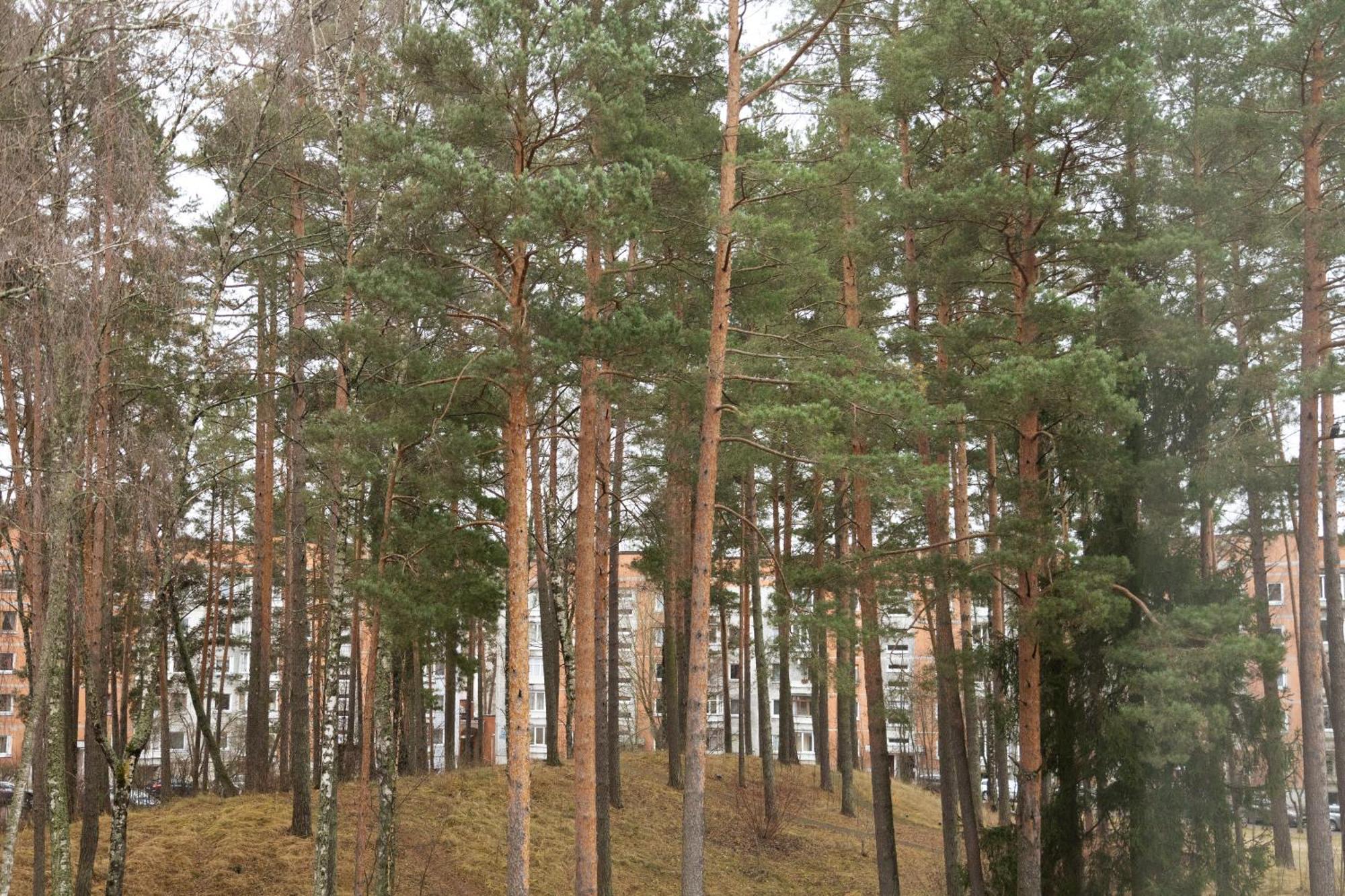 Visaginas Flat White Apartment Екстериор снимка